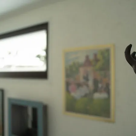 Apartment Modern Diy *